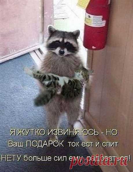 Интересные новости