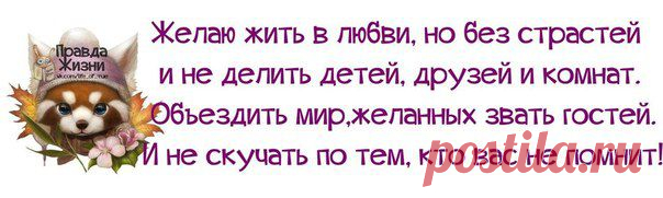 Новости