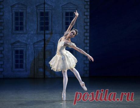 Яндекс Картинки: поиск похожих изображений