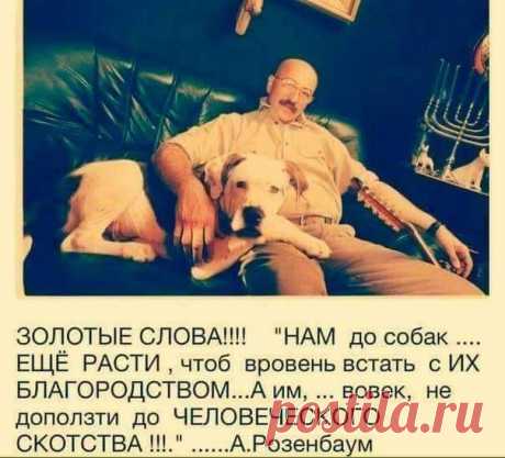 (1) Facebook