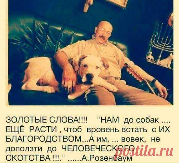 (1) Facebook