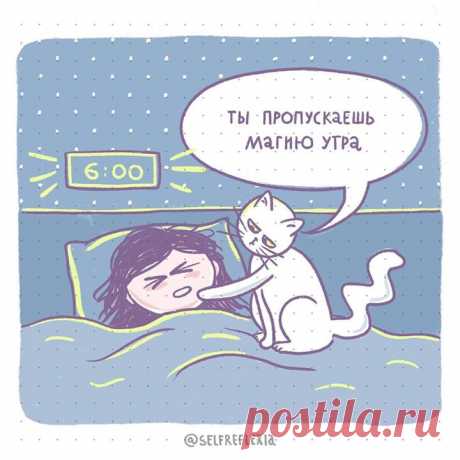 «С магией утра в декабре наблюдаются определенные проблемы, — рассказывает Таня Безудержная саморефлексия. — И утро-то разглядеть непросто, а уж магию в нем и подавно. Заниматься творчеством в шесть утра? Медитировать? Ну да, ну да. Поговорим об этом хотя бы в марте. ⠀ Но если вы все же хотите попробовать выжимать максимум именно из утра, заведите кота. Прекрасное решение. Работает на чистом энтузиазме. Пока не поднимет, не отстанет. Элемент волшебства тоже присутствует: бесит и умиляет…