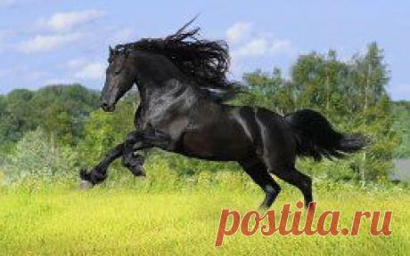 (49) Одноклассники