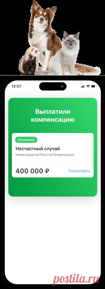 ВЫПЛАТА КОМПЕНСАЦИИ-Питомцы - СК «Пульс»