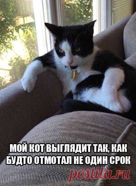 Наталья Данилова
