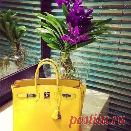 Сочетаем цвета правильно / Логика моды