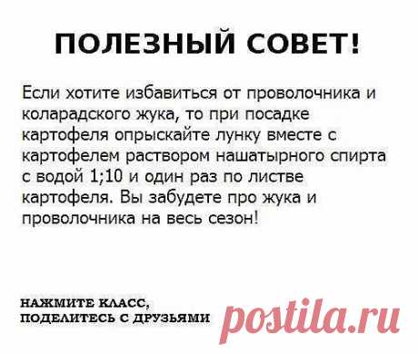 Сад, дача, огород ✔ За высокий урожай