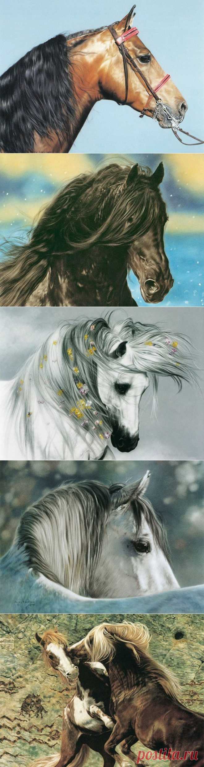Художник Lesley Harrison. Лошади
