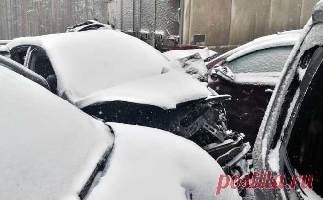 В Новгородской области начали проверку после ДТП с участием 41 машины. Следователи начали проверку по факту ДТП на трассе М-11 «Нева» в Новгородской области. Причиной аварии могли стать плохие погодные условия. СК, в частности, проверит тех, кто очищал снег на скоростной автомагистрали