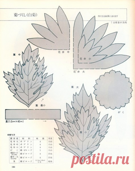 6LQPjaOoH8I.jpg (475×604)