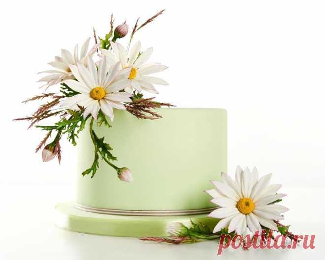 Make Sugar Daisies and Foxgloves in Sugar Flowers: Off the Garden Path