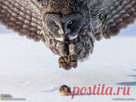 Неизбежность...