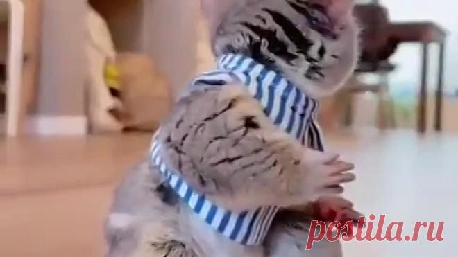 Божечки ) 🙈