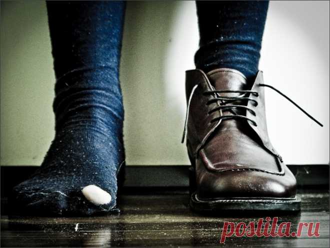 Энергетика богатства и бедности: в чем разница?