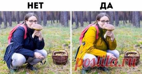 10 правил выживания летом в лесу. Инструкция, которую надо знать детям и взрослым . Милая Я