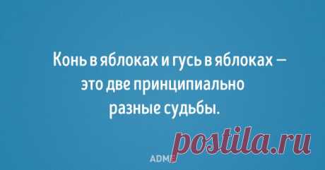 С пятницей! (Неформат пятничный) | Блог Sage | КОНТ