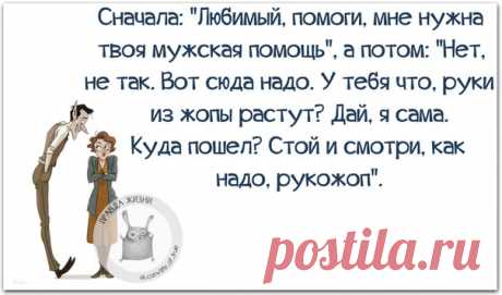 Веселая правда жизни в словах со смыслом