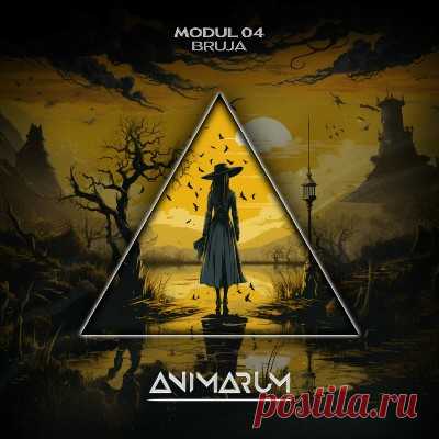 MODUL 04 – Bruja [Animarum Recordings]