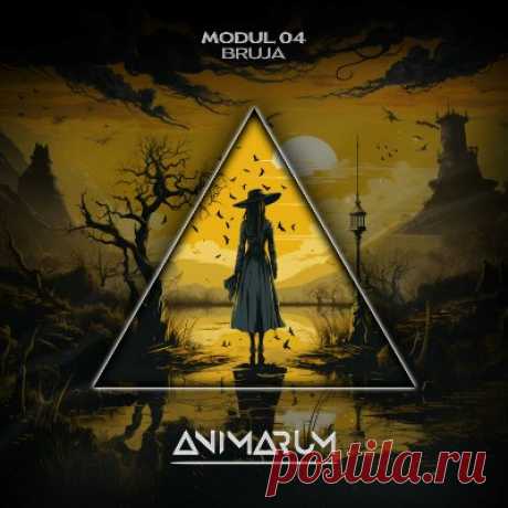 MODUL 04 – Bruja [Animarum Recordings]