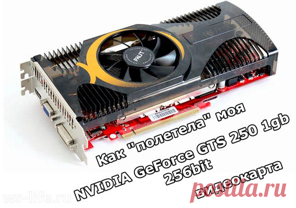 Как выбрать видеокарту для компьютера? Выбор видеокарты 2014