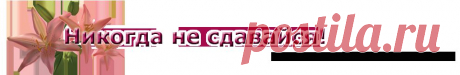 Худеем без проблем | Никогда не сдавайся! Красота, здоровье, народная медицина, здоровый образ жизни, стройная фигура, бизнес дом и семья, полезные советы