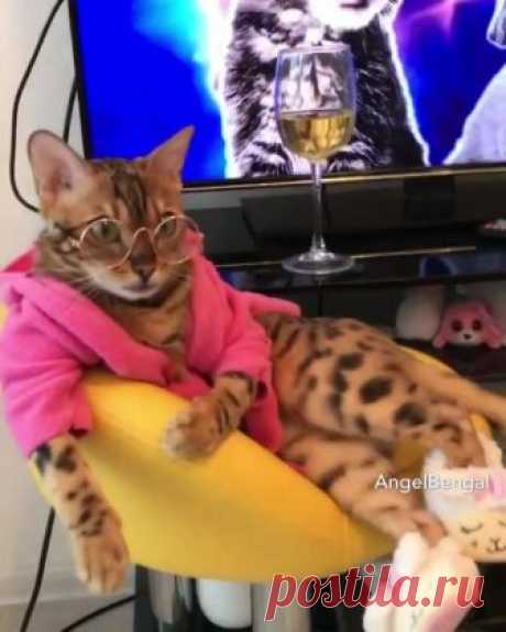(85) Facebook