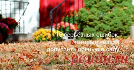 15 серьёзных ошибок, которые нельзя допустить осенью в саду От того, как сад будет подготовлен к зиме, во многом зависит и его здоровье, и его плодовитость, и даже его долголетие. А то, что мы сделаем на грядках осенью, принесет свои плоды уже в начале следующей весны.