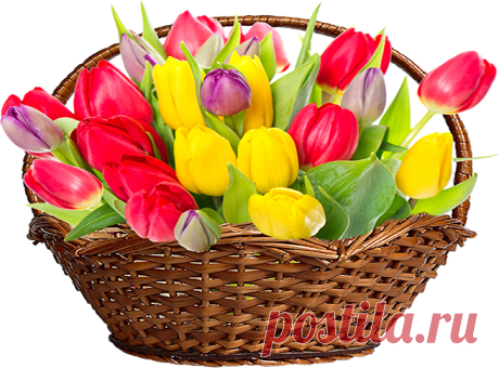 Girlfriend! You, friend - extraordinary! And I'll tell you frankly: - I love you as a friend! - MelirinaKom - Mood Music