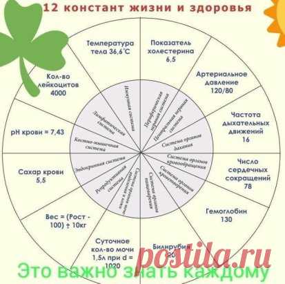 #худеем_вкусно #зож #диеты