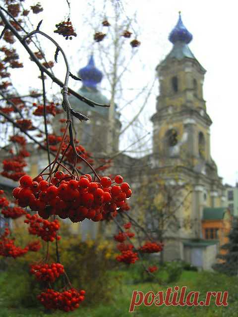 У рябинушки ладошки
Зацелованы дождями.
Ягод пламенная крошка
На ветвях и под ногами.
У молодушки забава-
Воробьишек бойких стаи.
Ветер дует слева, справа,
А она верна. Простая…
У красавицы забота -
Накормить гостей пернатых.
И приветить их охота.
Пир готовит им богатый.
У рябины ярки бусы,
Королевна ли, принцесса?
Ветры ласковые вьются
Рядом не без интереса.
У рябинушки дорожка.
Кто пройдет – спасибо скажет.
За тепло и нрав хороший.
Нет её сегодня краше.