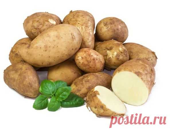 Картофель омолодит и накормит