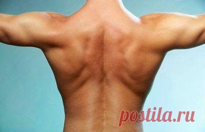 Блог сайта «Здоровье в наших руках»