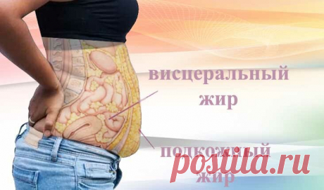 Зачем необходимо избавляться от внутреннего жира. Несколько простых советов и жир уйдет - медиаплатформа МирТесен