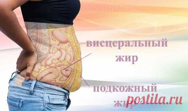 🍋 Зачем необходимо избавляться от внутреннего жира. Несколько простых советов и жир уйдет | ЛИМОН – для ЗОЖ | Яндекс Дзен