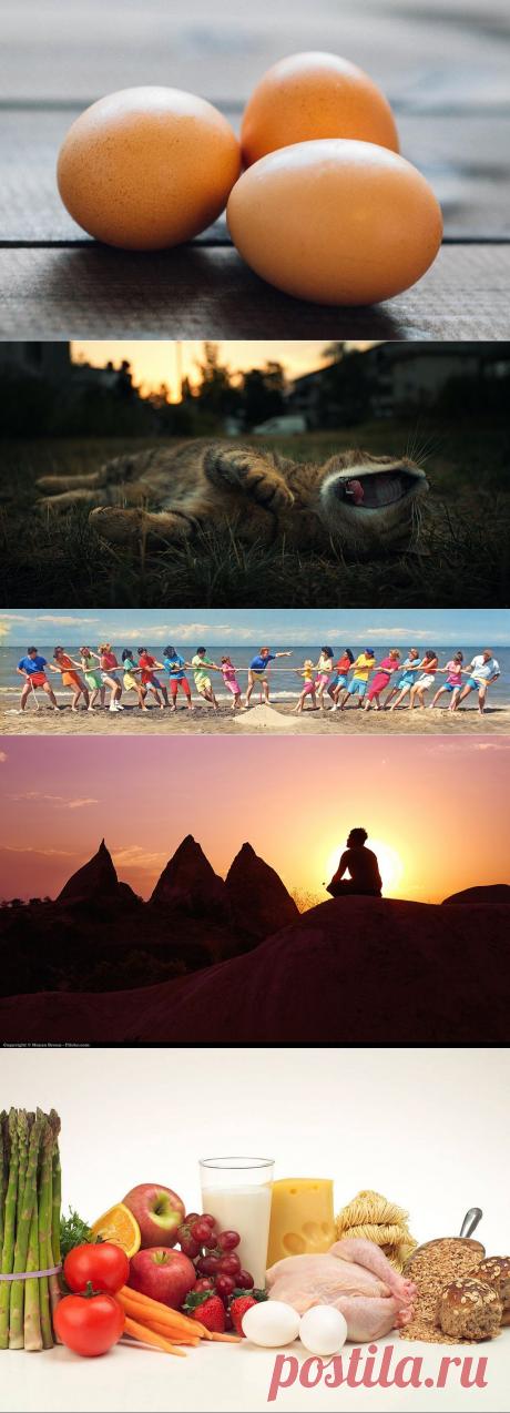 Восемь вещей, который необходимо делать каждому до 8 утра / Мегамозг