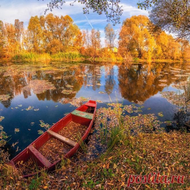 Осенние краски на Усманке.
Воронежская область, с.Новая Усмань. 📷 Тимур Подколзин