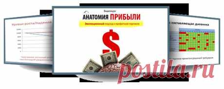 Видеокурс Яна Айрона &quot;Анатомия Прибыли&quot;