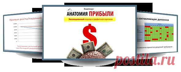 Видеокурс Яна Айрона "Анатомия Прибыли"