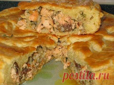 Пирог с горбушей — Искусство здоровой жизни