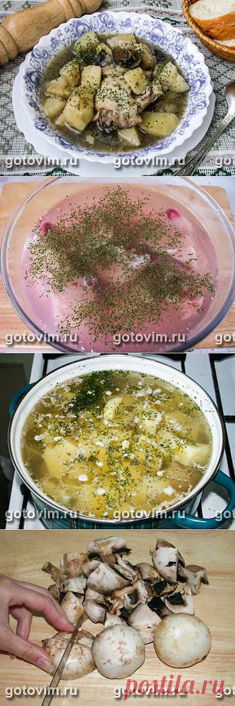 Тушеная курица с грибами и овощами. Фото-рецепт / Готовим.РУ