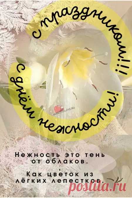 С праздником! "С Днем нежности"