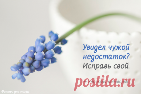 Фото Хроники - Фитнес для мозга | Facebook
