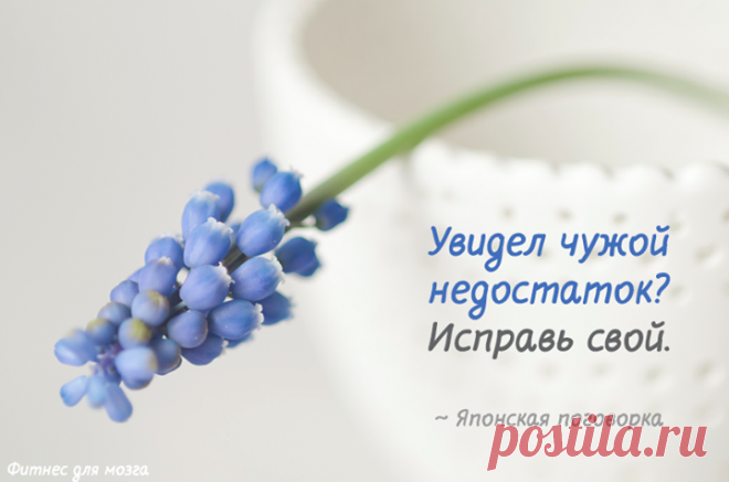 Фото Хроники - Фитнес для мозга | Facebook