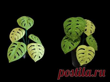 How to crochet Monstera Swiss Cheese Plant/leaves