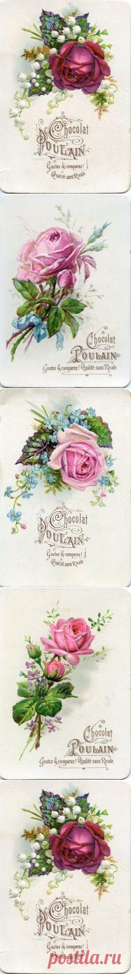 Изображения в сообщении