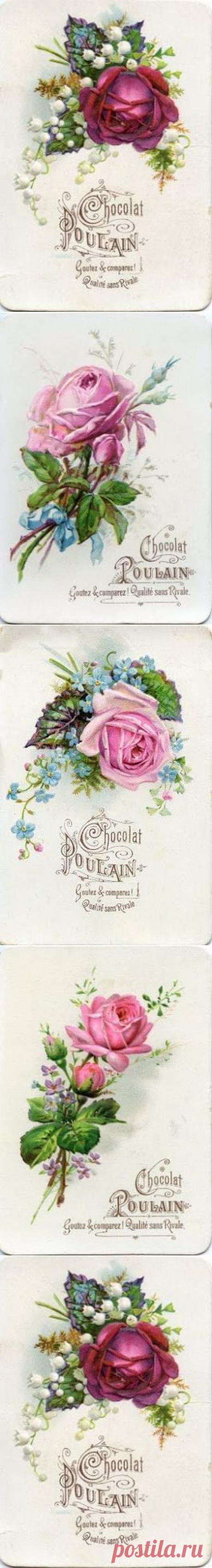 Изображения в сообщении