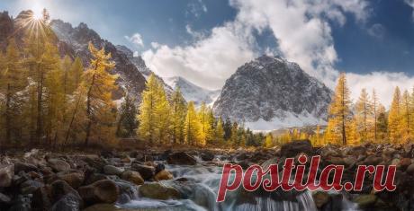 Поиск@Mail.Ru Горный Алтай