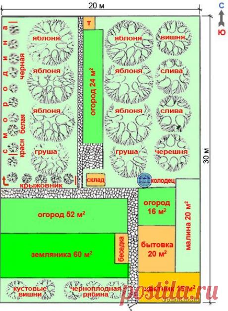 планировка сада 20х30