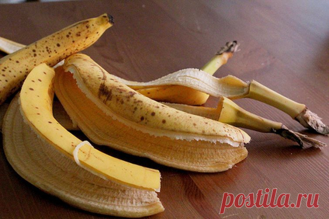 Вкусная подкормка для комнатных цветов! » Женский Мир