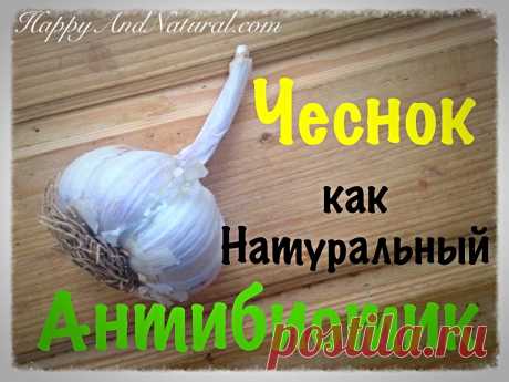Чеснок как натуральный Антибиотик - Happy & Natural